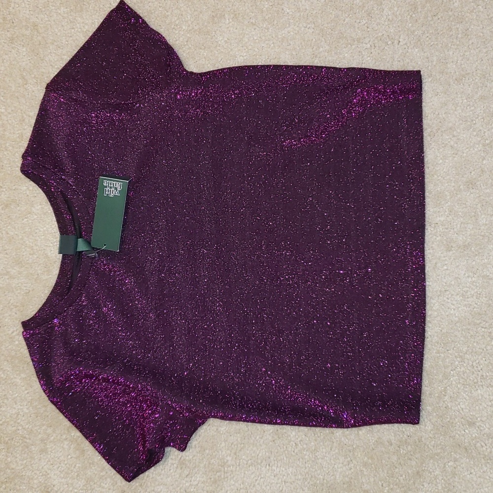 wild fable crop top